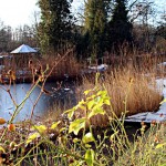Ein Teich wandelt sich mit den Jahreszeiten