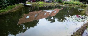 Ein Schwimmteich der Größe „Ideal“