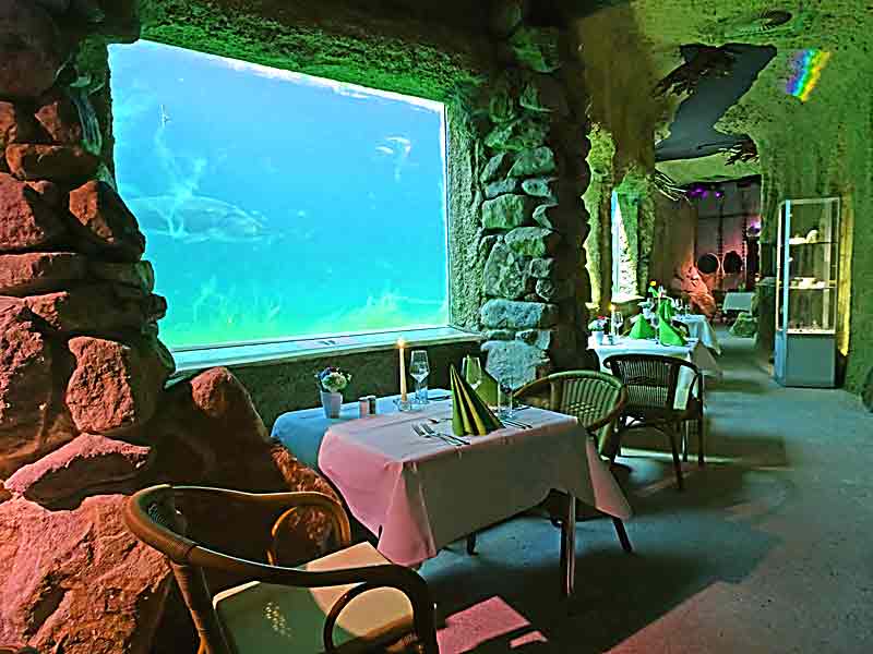 CandleLightDinner im NaturaGartAquarium Veranstaltungsorte