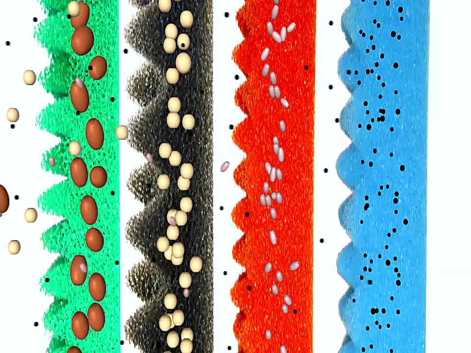 Schema-Ansicht verschiedener Filterschäume für Teichfilter