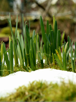 Wetter soll kritisch werden