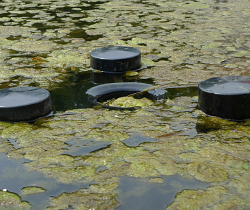 NaturaGart Skimmer gegen Algen