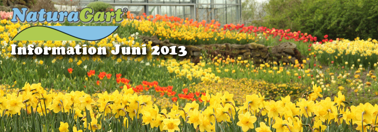 NaturaGart Information Juni 2013