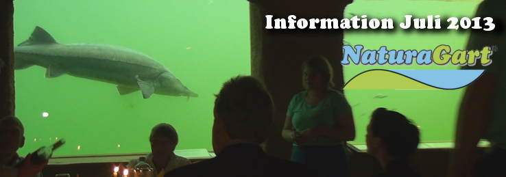 NaturaGart Information Juli 2013