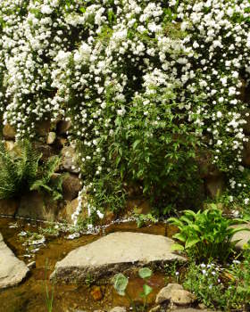 Steingarten im NaturaGart-Park