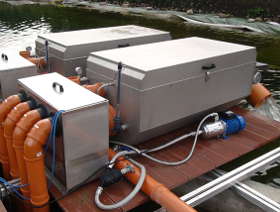 Unterwasserpark bei NaturaGart