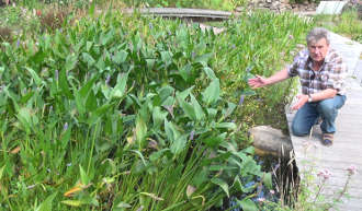 Teichreinigung durch Filtergraben