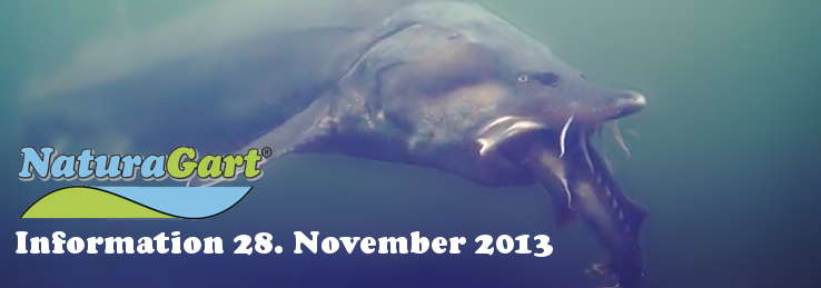 NaturaGart Information 28. November 2013