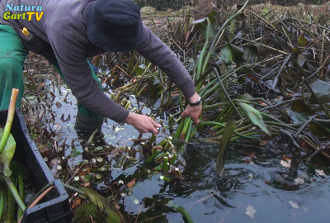 Nährstoffe exportieren