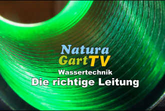 Mit der richtigen Teichpumpe Strom sparen