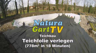 Neues Video: Teichfolie verlegen