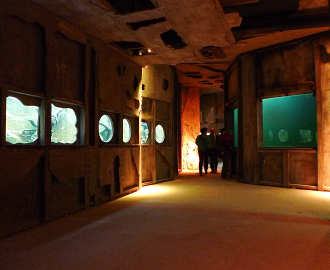 Schiffswrack im Kaltwasseraquarium