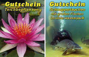 Geschenk-Gutschein NaturaGart