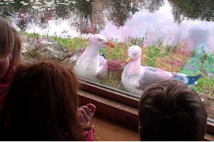 Naturkontakt-Programm bei NaturaGart