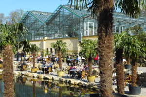 Sommerfest bei NaturaGart am 31. Mai 2015