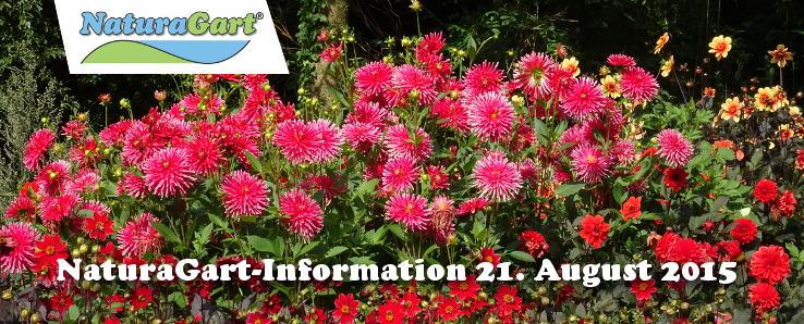 NaturaGart Information 23. Juli 2015