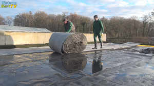 Tempel mit Dachbegrünung