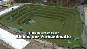 Serie: Teiche dauerhaft bauen, Teil 2