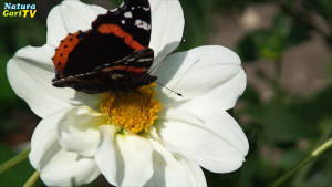 Nachrichten 23. August 2016