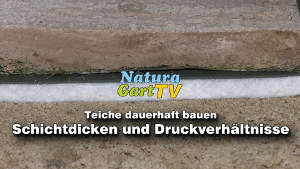 Serie: Teiche dauerhaft bauen, Teil 5