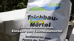 Serie: Teiche dauerhaft bauen, Teil 4