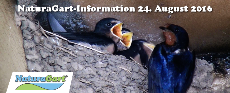 NaturaGart Information 23. August 2016