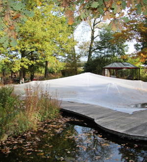 Laubschutz-Netze verhindern Algen