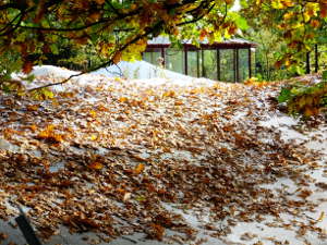 Laubschutz anbringen Herbst 2016