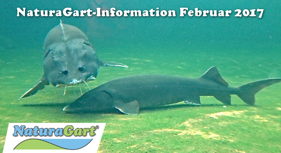 NaturaGart Information Januar 2017