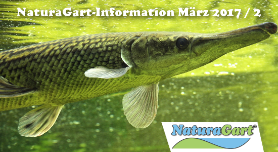 NaturaGart Information März 2017 / 2
