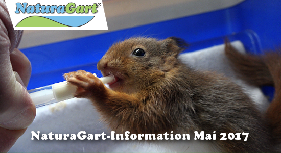 NaturaGart Information Mai 2017
