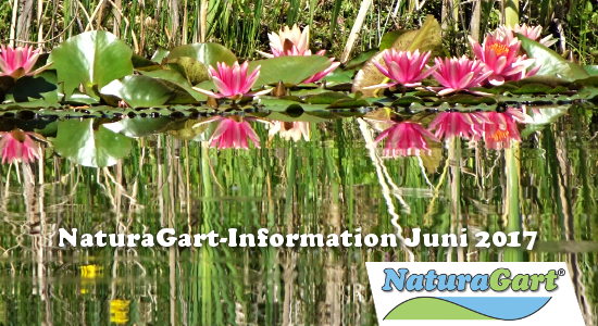 NaturaGart Information Juni 2017