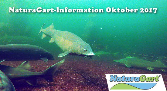 NaturaGart Information Oktober 2017