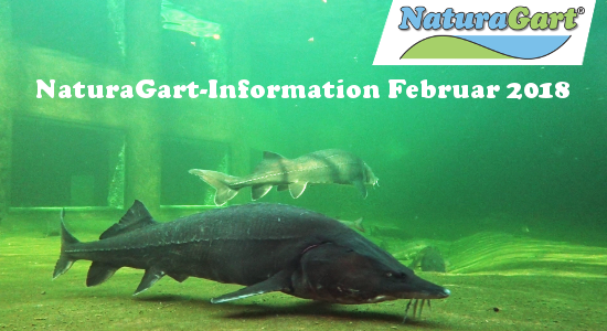 NaturaGart Information 21. Februar 2018