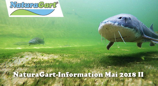 NaturaGart Information Mai 2018 II