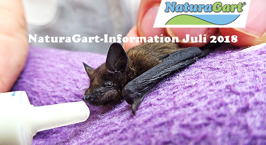 NaturaGart Information Juli 2018