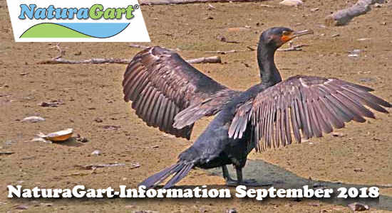 NaturaGart Information September 2018
