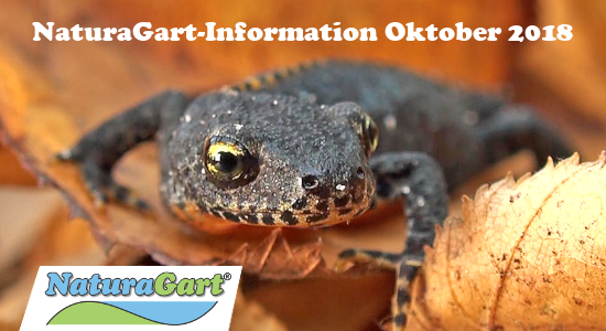 NaturaGart Information Oktober 2018
