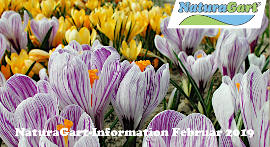 NaturaGart Information Februar 2019