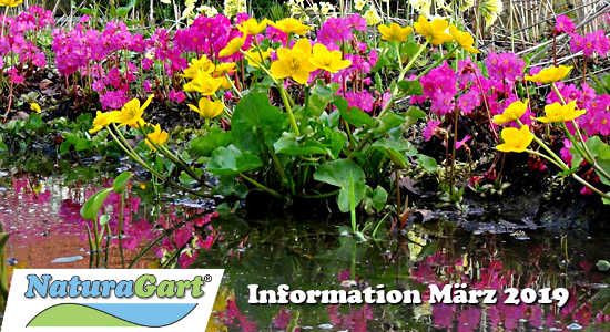NaturaGart Information März 2019