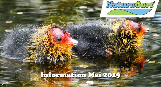 NaturaGart Information Mai 2019
