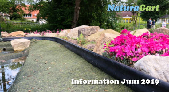 NaturaGart Information Juni 2019