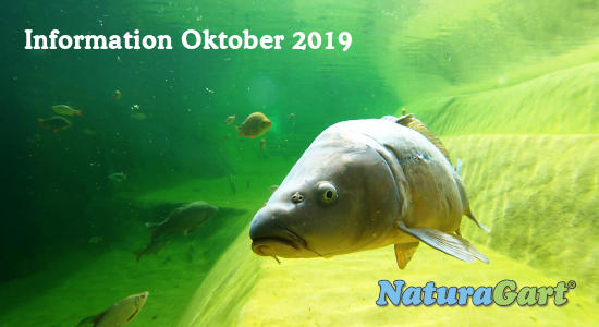 NaturaGart Information Oktober 2019