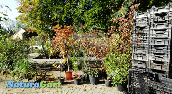 NaturaGart Information Oktober 2019