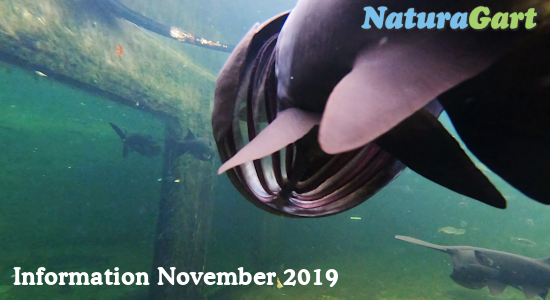 NaturaGart Information November 2019