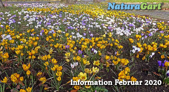 NaturaGart Information Februar 2020