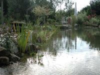 Bioteich nach dem Vorbild der Natur