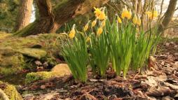 NaturaGart Nachrichten 07.03.2014