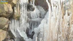 NaturaGart Nachrichten 11. Februar 2016