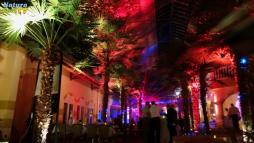 Disco in der Palmenhalle